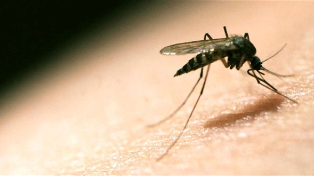 علماء يبتكرون دواء مضاداً للملاريا