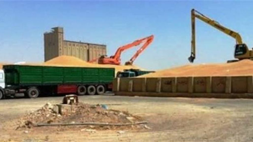 زراعة ديالى تتوقع تجاوز مرحلة الاكتفاء الذاتي من الحنطة