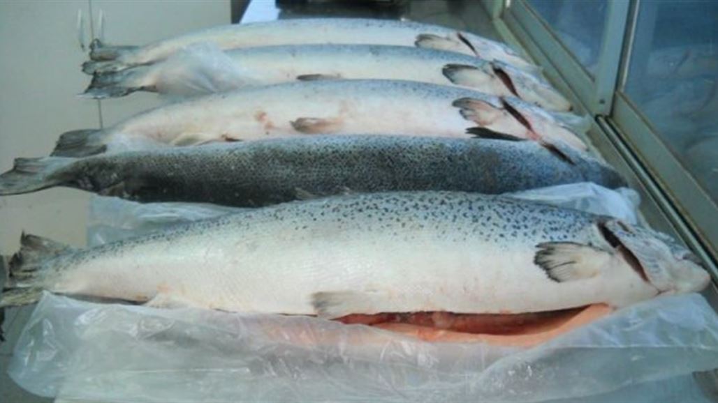 Недорогая Мороженая Рыба