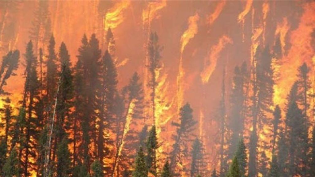 حريق غابات في منطقة النفط الرملي بكندا يجبر الآلاف على الفرار