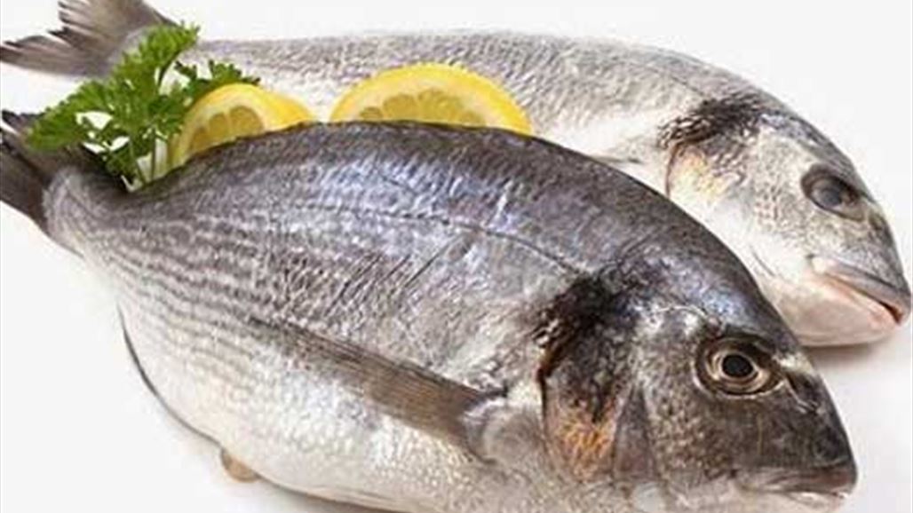هكذا تميّز السمك الطازج من الفاسد!