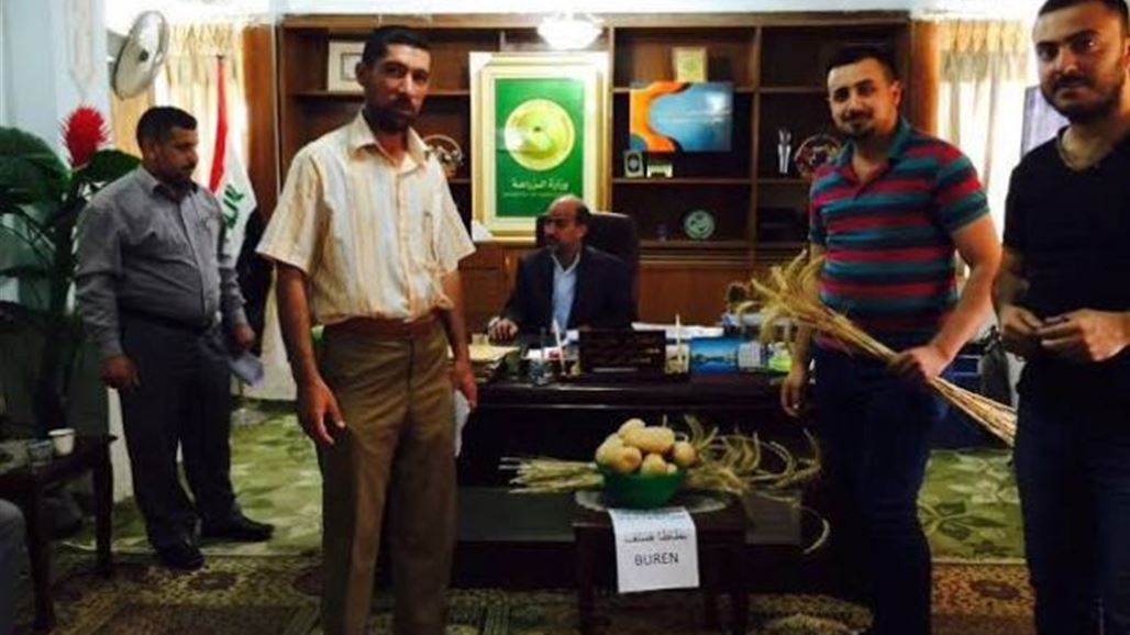 زراعة بابل تطور محصولي البطاطا والطماطم في ارض غير مستصلحة