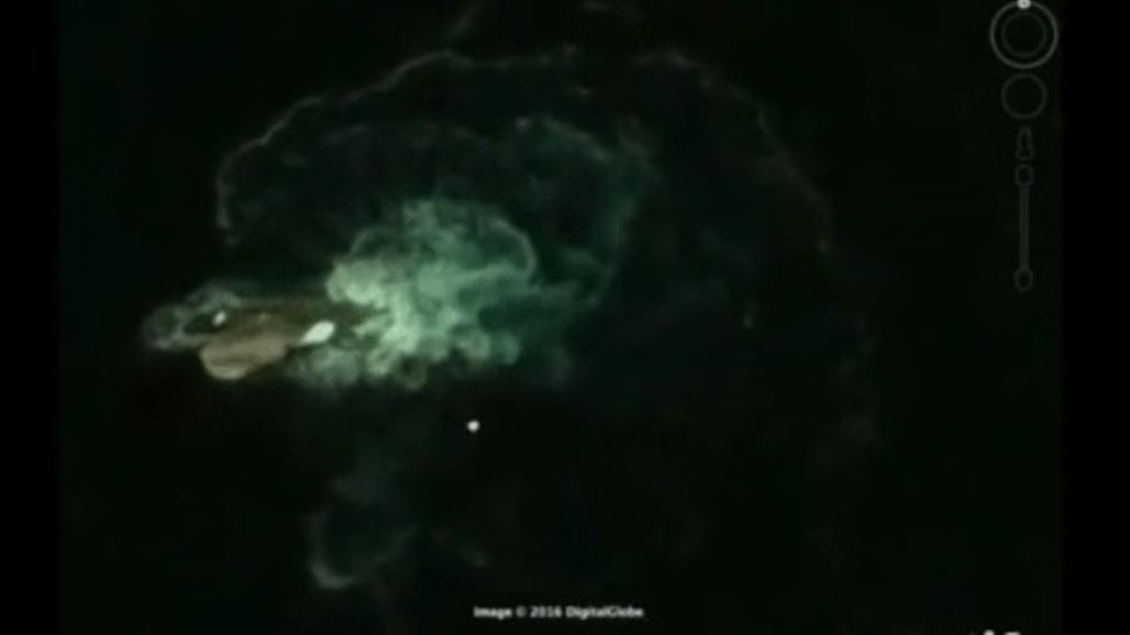 خرائط غوغل ترصد كائنا غريبا في أعماق المحيط