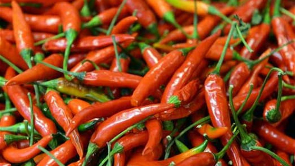 لهذه الأسباب مساحيق الفلفل الحار تخفّف الآلام