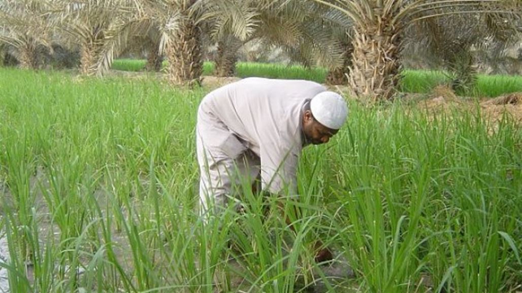 لجنة من مجلس الوزراء تصل كركوك لبحث آليات صرف القروض الزراعية