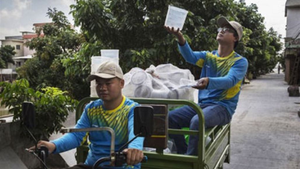 جزيرة صينية تربي البعوض للقضاء على زيكا