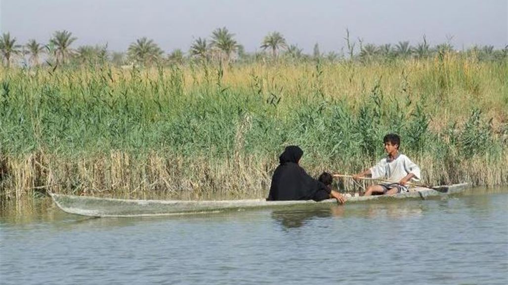 زهرة النيل الغازية تصل الى بعض مناطق الأهوار وتحذيرات من تأثيراتها الكارثية