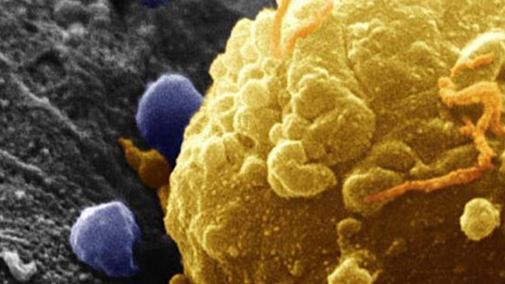 الصحة العالمية: لا دليل على انتشار زيكا خلال الدورة الأولمبية