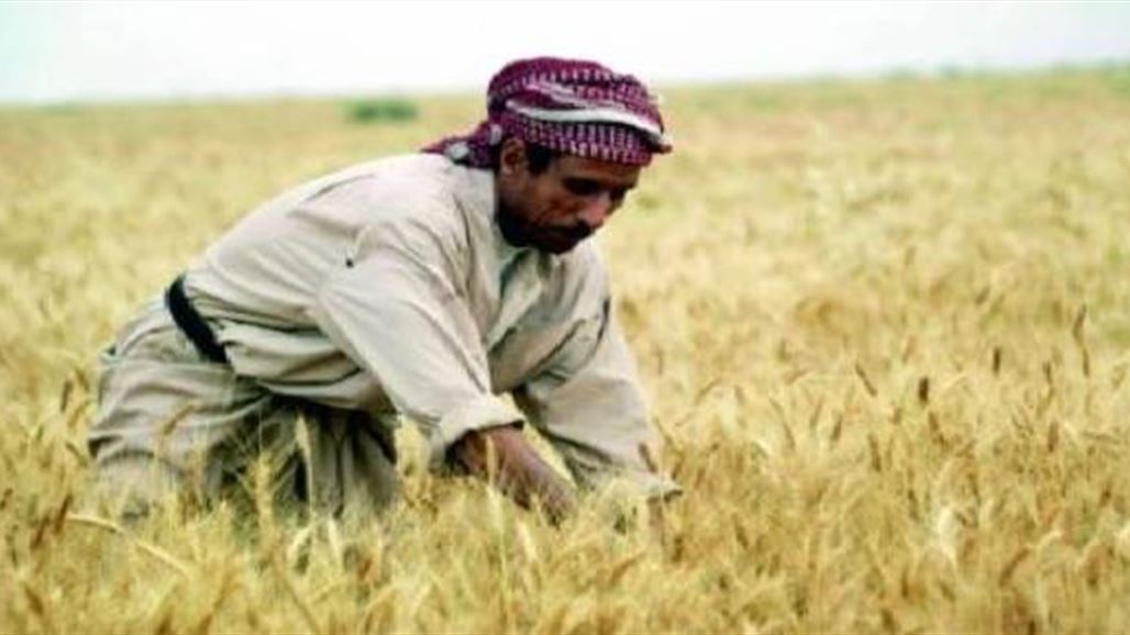 ‏‫زراعة كركوك تعلن وصول 61 مليار دينار من مستحقات فلاحي المحافظة