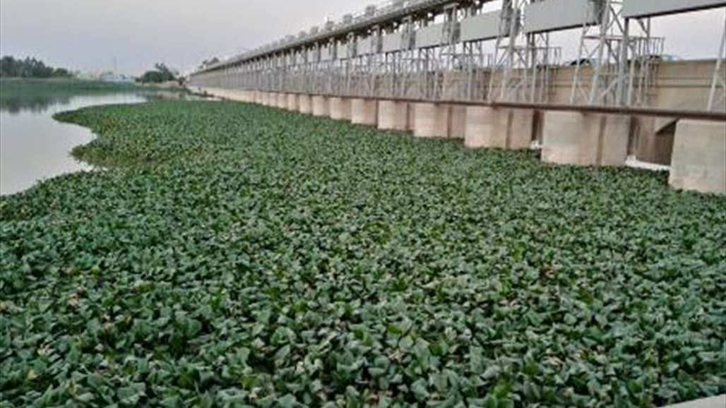 ذي قار تعلن اجتياح زهرة النيل 36 كم2 من أبو زرك