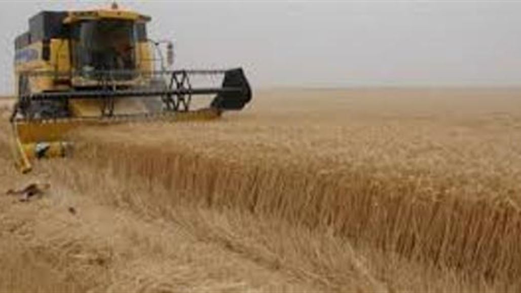 ‏‫كركوك تطلق موسمها الزراعي بزراعة ٣٧٨ الف دونم للحنطة والشعير