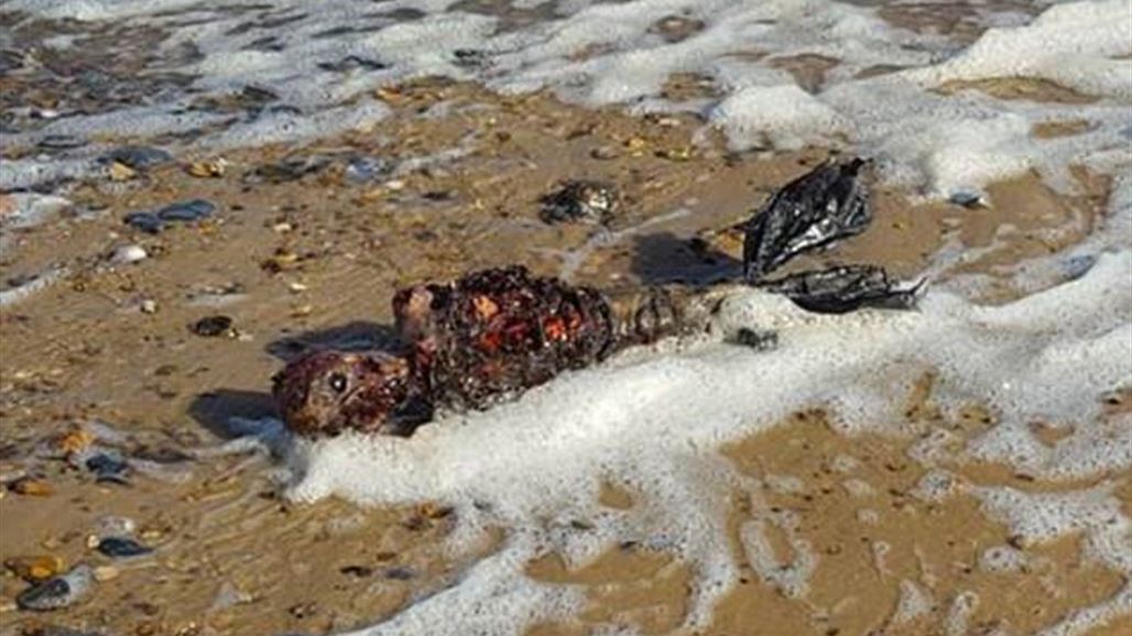 بالصّور: حوريّة بحر ميتة تثير الجدل