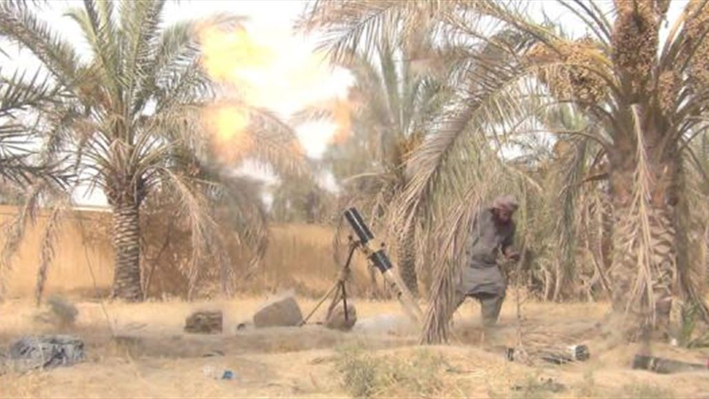 عضو بمجلس ديالى يكشف عن ارتفاع معدلات العنف في "حوض الوقف" بنسبة 50%