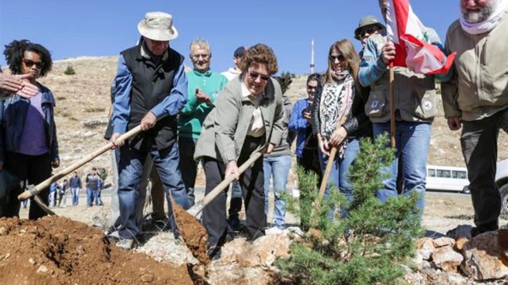 محمية أرز الشوف اللبنانية تشكل سلسلة بشرية لزراعة 5000 شجرة