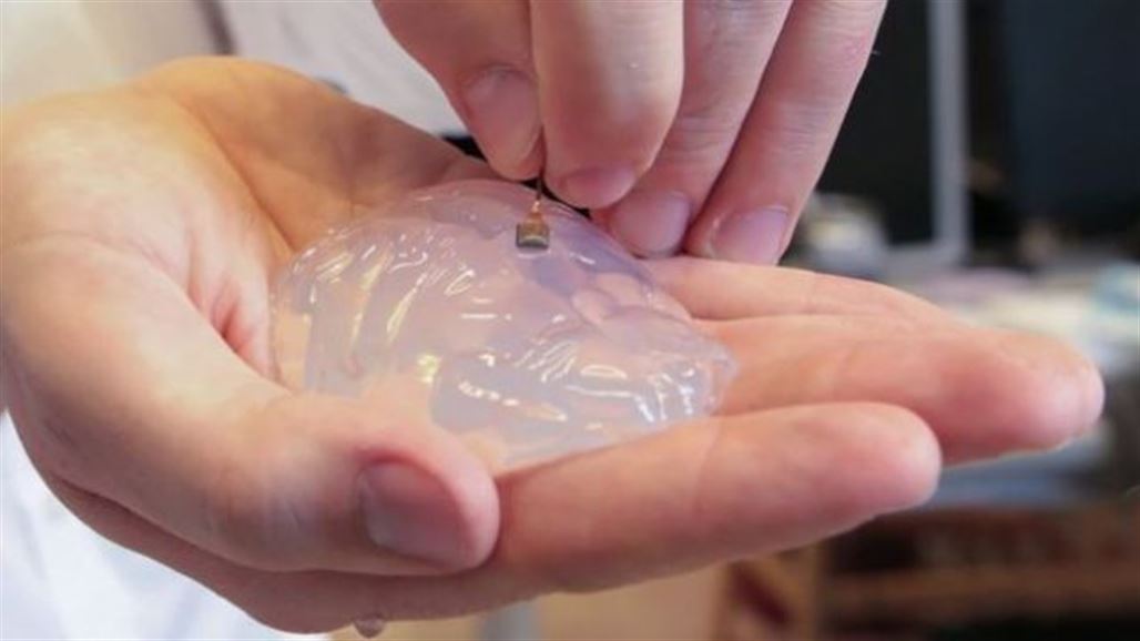 ابتكار علاج للشلل يعيد الاتصال بين المخ والحبل الشوكي