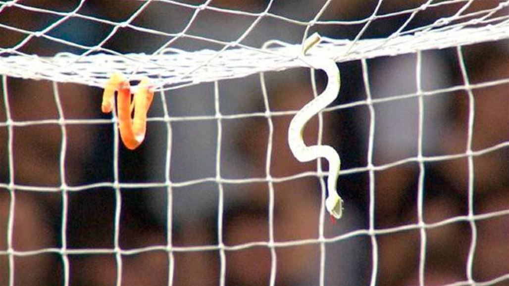 جمهور كروي يهاجم حارس مرماه بالثعابين بعد انتقاله لناد آخر