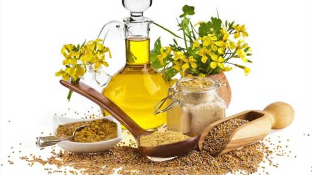 يمنع الشيب يخفض الكوليسترول  ويزيل البقع..تعرفوا على فوائد زيت الخردل!
