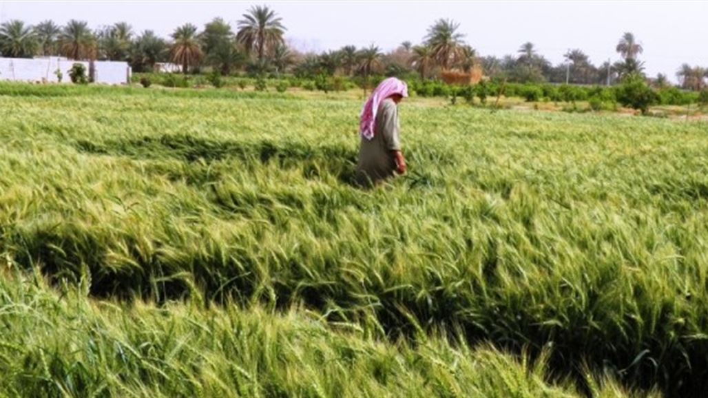 الجمعيات الفلاحية: وزير التجارة تعهد بدفع مستحقات فلاحي ديالى خلال عشرة أيام