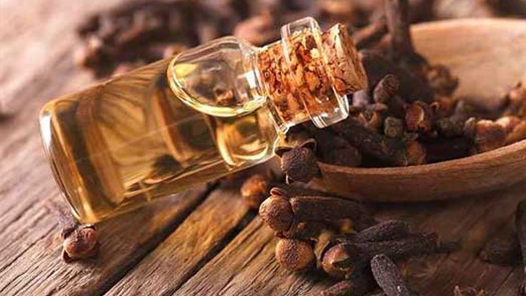 كل ما تريد معرفتة عن زيت القرنفل 2 زيت القرنفل