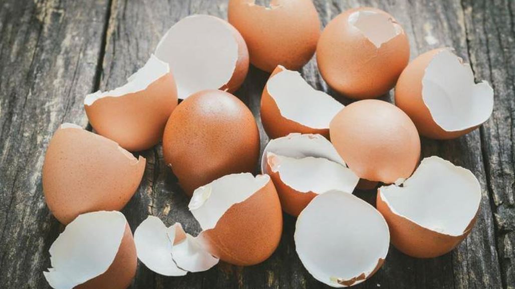احتفظي بقشر البيض... فاستخداماته متعدّدة