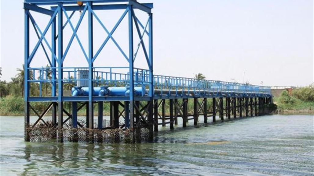 بيئة البصرة تشدد الرقابة على المياه العراقية بعد نفوق أسماك كثيرة في المياه الكويتية