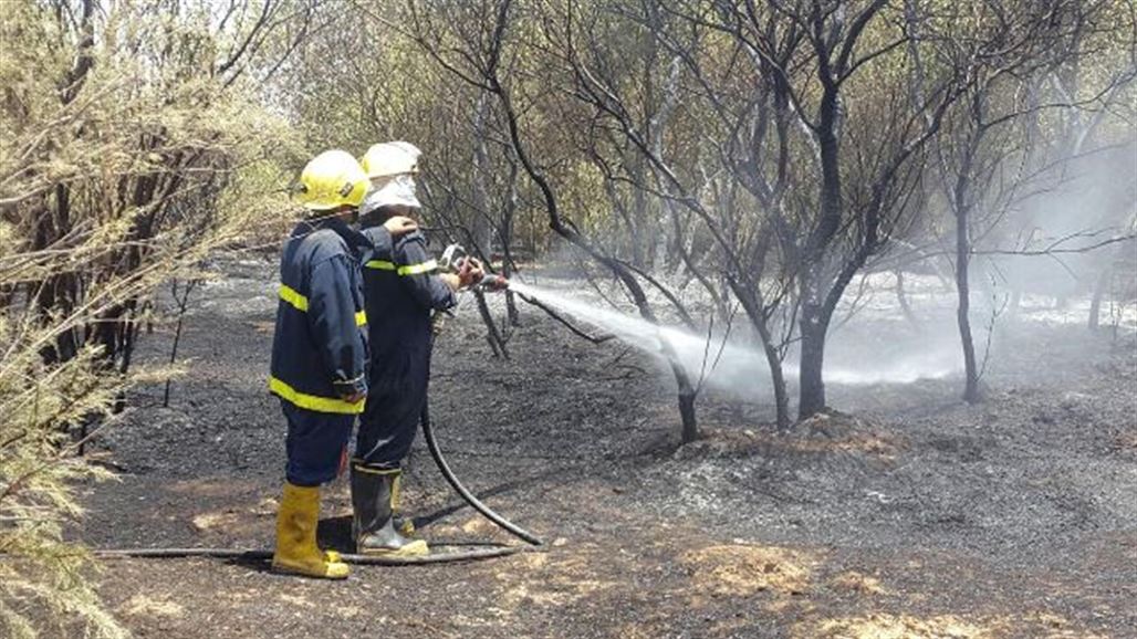 إخماد حريق كبير هدد محمية للغزلان النادرة شمال غربي كركوك