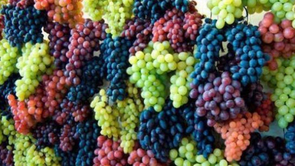 بذور العنب تقضي على أخطر الأمراض