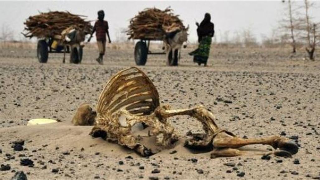 دراسة صادمة تكتشف بدء موجة انقراض للحياة