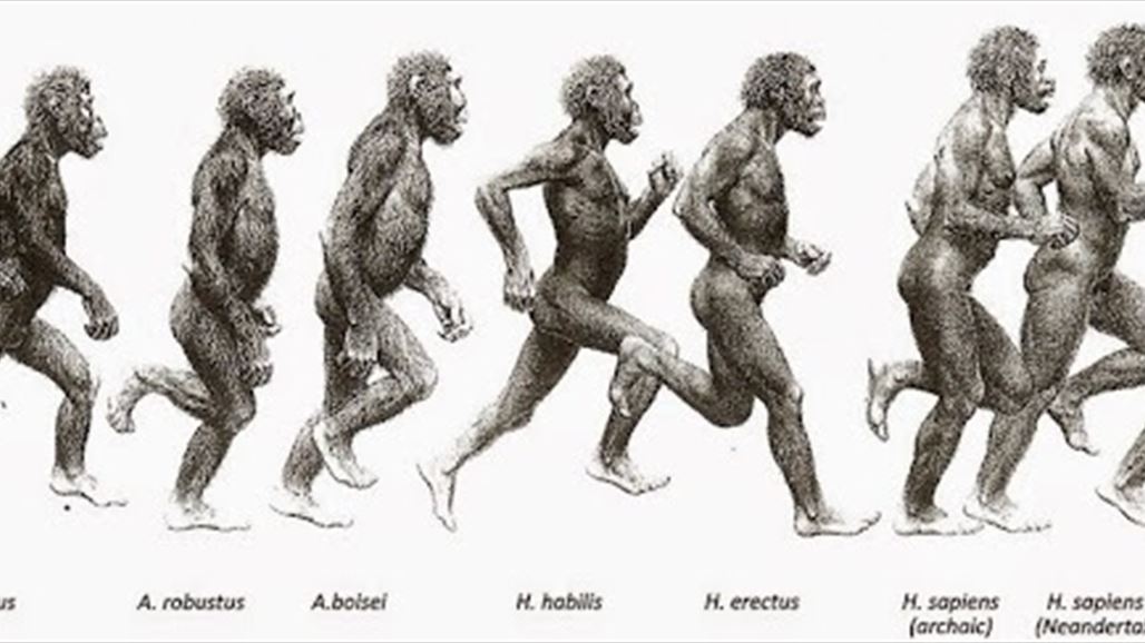 أنقرة تزيل نظرية داروين من المناهج التركية