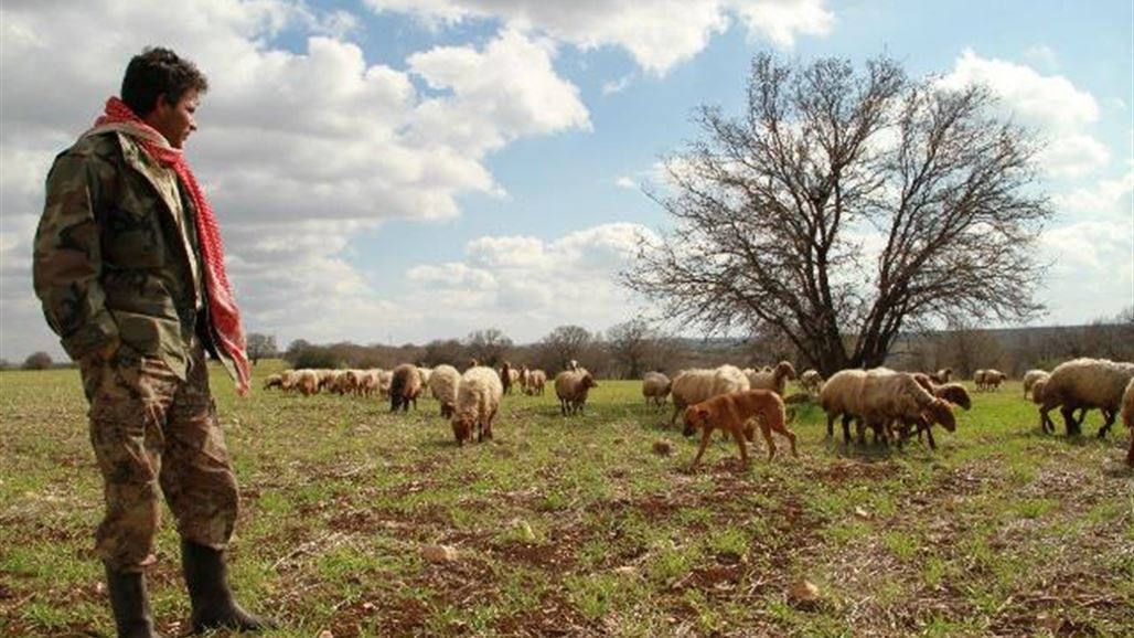 الأردن يترشح لجائزة أفضل السياسات لمجابهة تدهور الأراضي في العالم