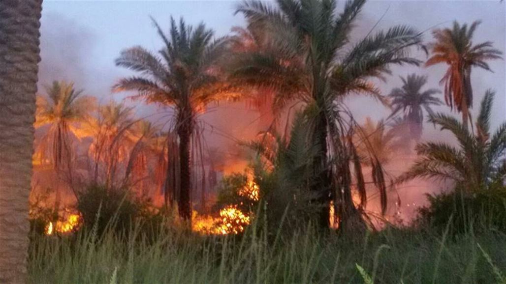 الدفاع المدني يخمد حريقا اندلع في ست بساتين زراعية شمال شرق ديالى