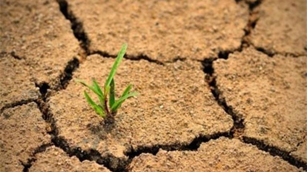 الاتحاد الدولي لحماية الطبيعة يحذر من خطر يهدد الأمن الغذائي للبشرية