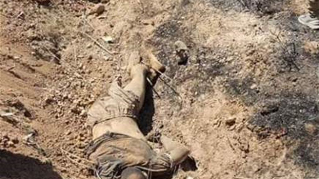 مصدر: جثث عناصر داعش تملأ أحد أودية ديالى بينهم أمير