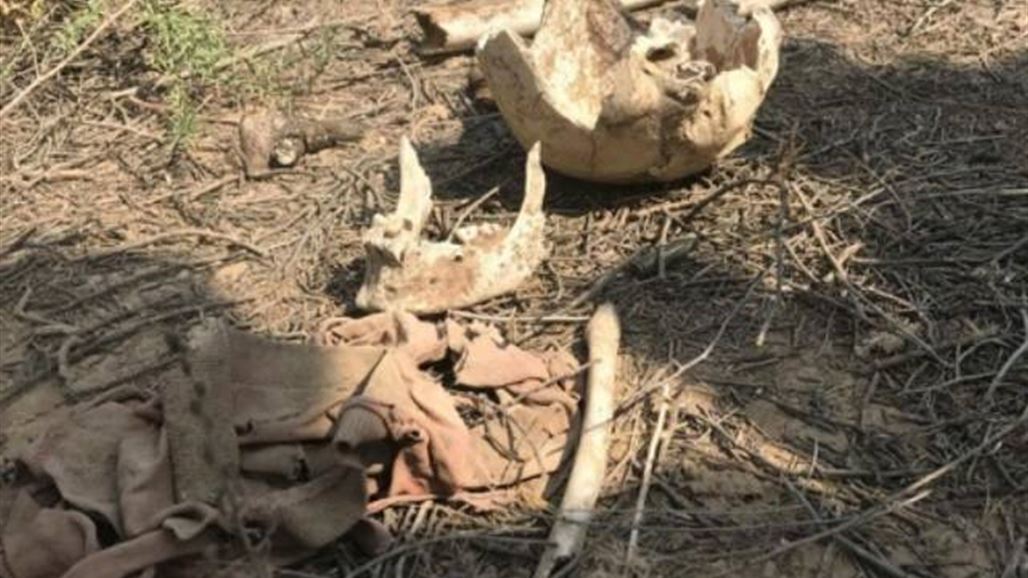 الحشد الشعبي يعثر على رفات 15 عنصرا من "داعش" غرب بلد