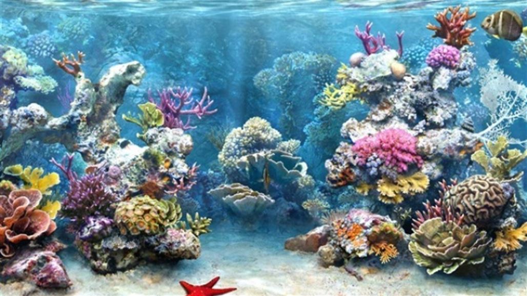 تحذيرات دولية من فقدان نظم طبيعية يعيش عليها 500 مليون شخص