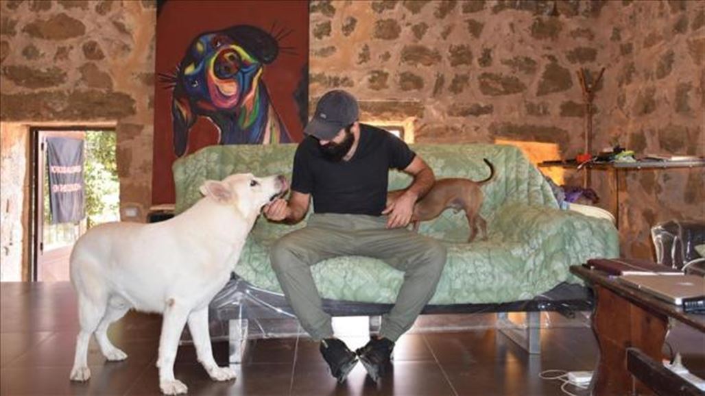 فندق خاص للكلاب في لبنان