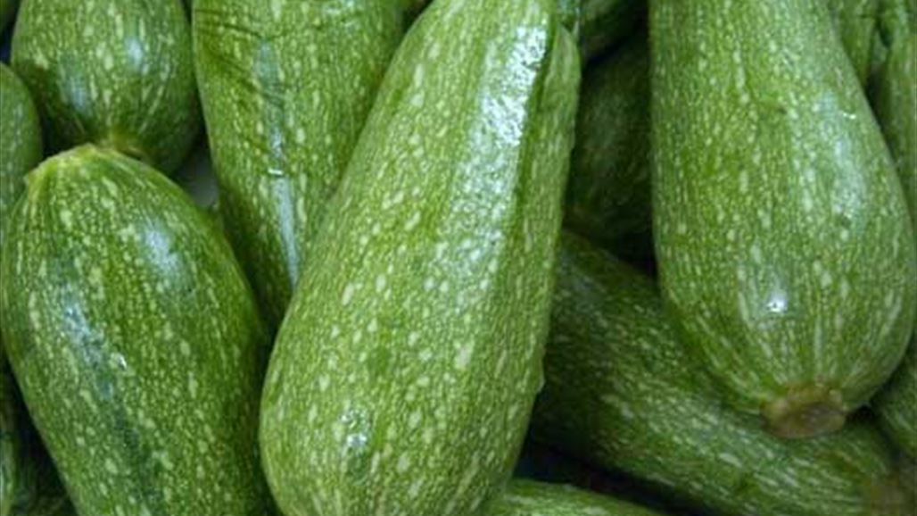 بالصورة: "كوسا عملاقة" تثير الهلع!