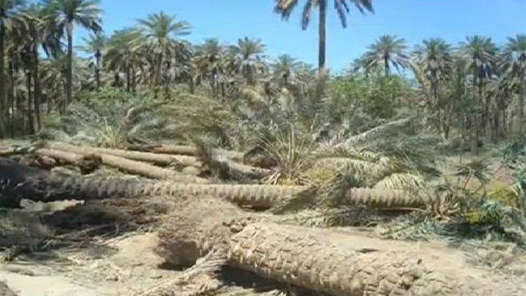 في ديالى.. تجريف بستان كل من يتعاون مع "داعش"