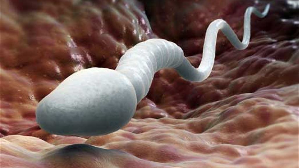 لن تصدقوا تأثير الهواء على جودة السائل المنوي