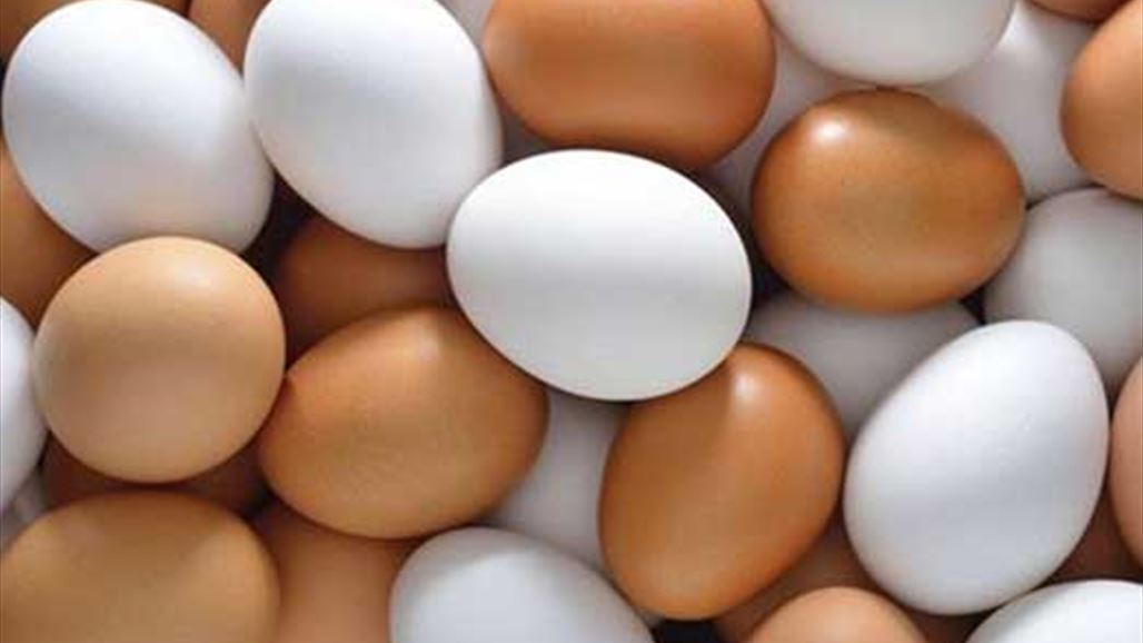 هل تعلم الفرق بين البيض الأبيض والبني؟