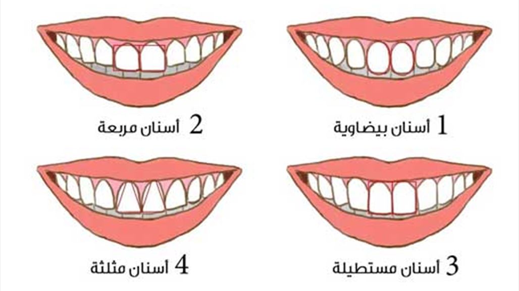 ماذا يقول شكل أسنانك عنك؟