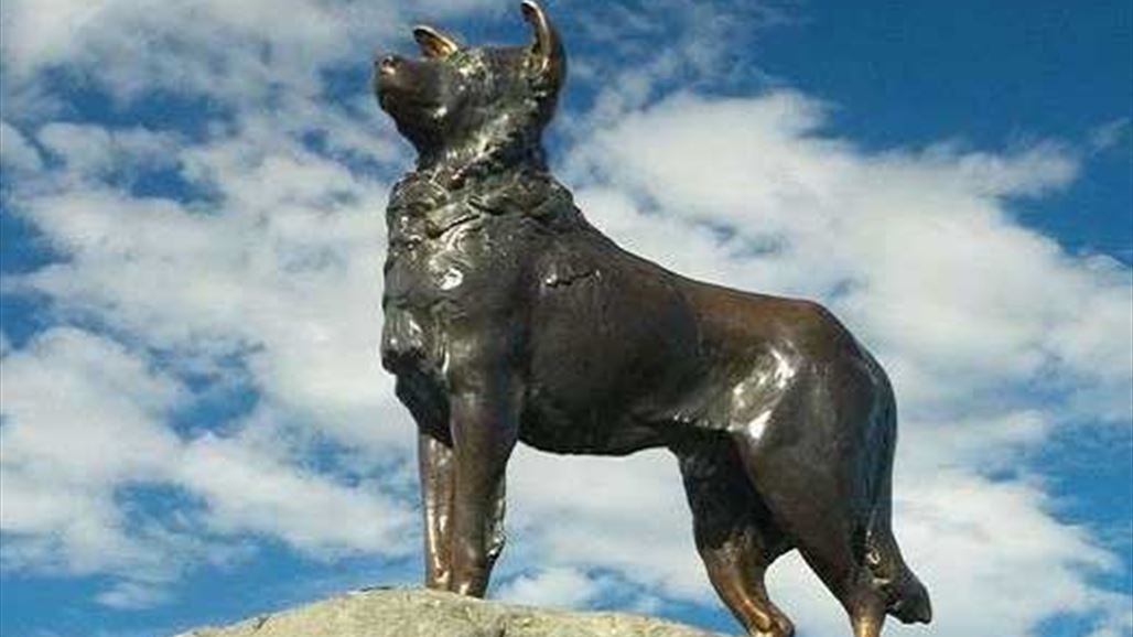 تمثال تذكاري تكريما لكلبة انتظرت صاحبها 12 عاما!