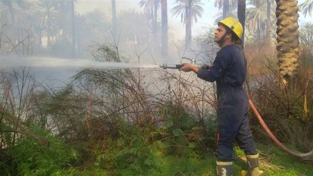 الدفاع المدني "ينقذ" بستان زراعي عمره 70 سنة من النيران