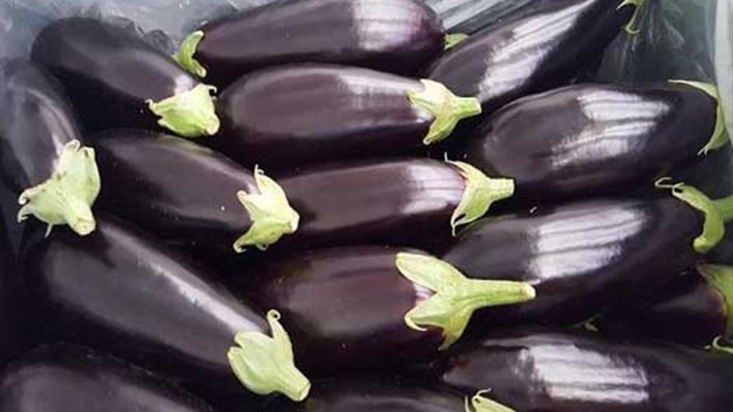 تعرفوا على أغلى "باذنجانة" في التاريخ!