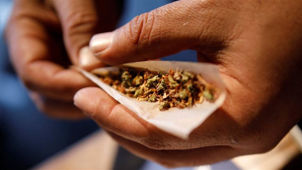 "إتش بي" تدخل صناعة الماريجوانا والحشيش