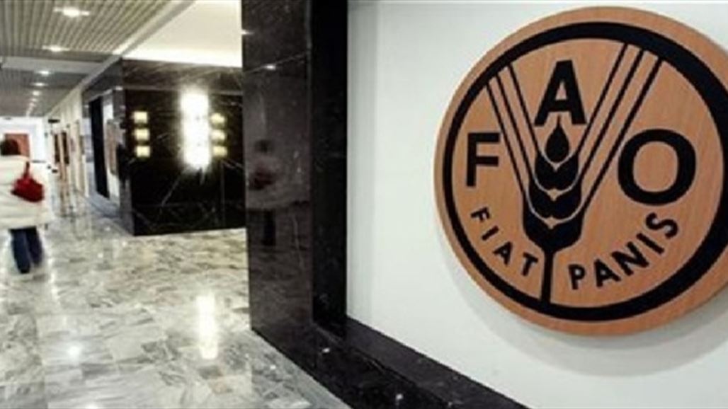 فاو: النزاعات تسببت بزيادة معدلات انعدام الأمن الغذائي بمنطقة الشرق الأدنى