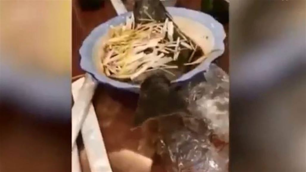  سمكة تعود للحياة بعد طهيها!