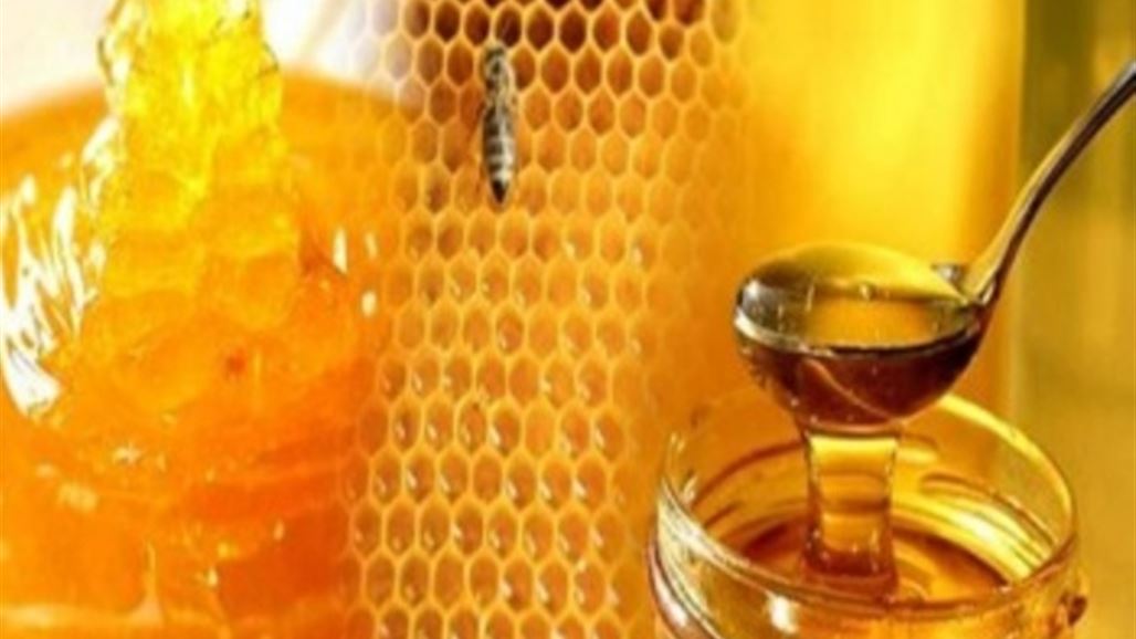 الفاو تحتفل بيوم النحل العالمي وتؤكد: انتاج العراق للعسل يبلغ 1000 طن سنويا
