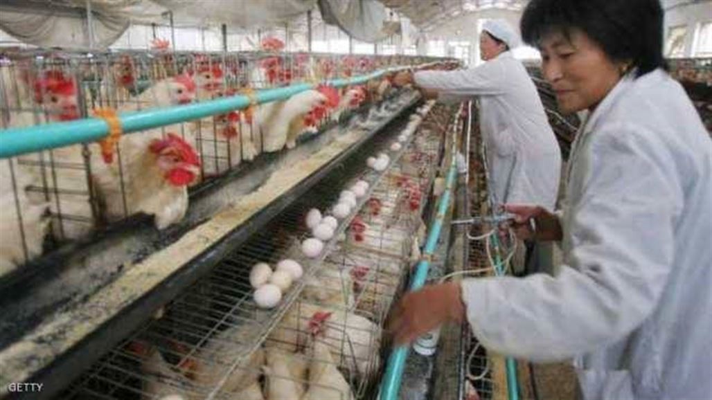 تحذير من تحول "إنفلونزا صينية" لوباء عالمي