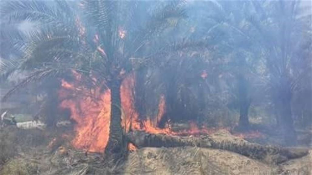 إخماد حريق في بستان زراعي شمال غرب بعقوبة
